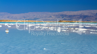 Beautiful coast of the Dead Sea .