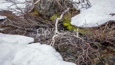 Stream from the glacier