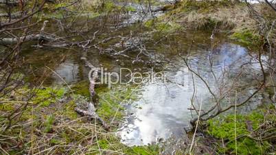 Stream from the glacier