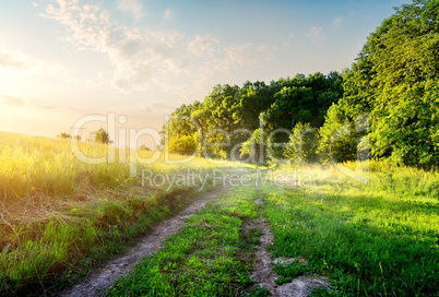 Field with country road