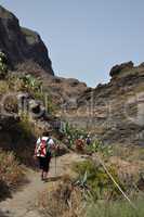 Wandern in der Masca-Schlucht, Teneriffa