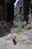 Wandern in der Masca-Schlucht, Teneriffa