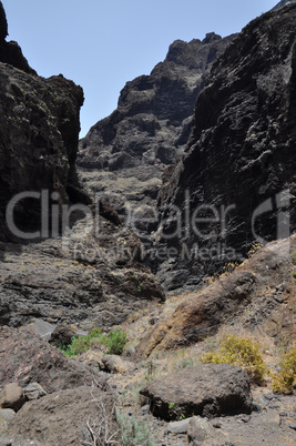 Masca-Schlucht, Teneriffa