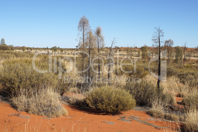Outback, Australien