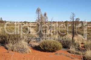 Outback, Australien