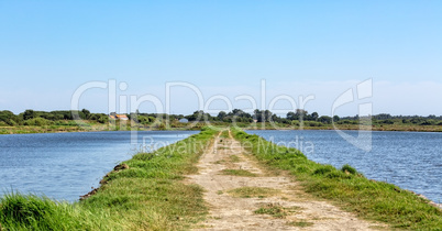 Summer Landscape with Lake and Road