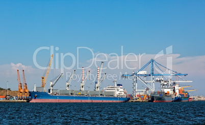 Cargo Sea Port with Cranes