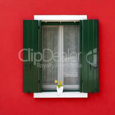 Colorful window with flower pot in Burano