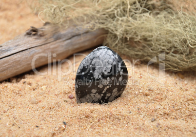 Schneeflockenobsidian am Strand