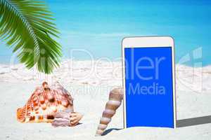 Weißes Smartphone und Muscheln unter Palmwedel am Strand