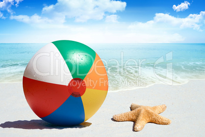 Bunter Wasserball und Seestern am Strand