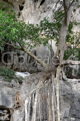 THAILAND KRABI