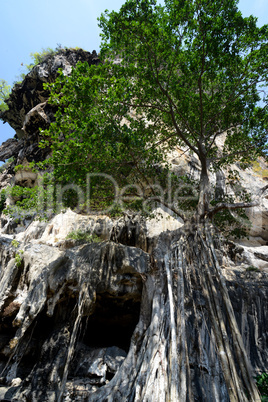 THAILAND KRABI