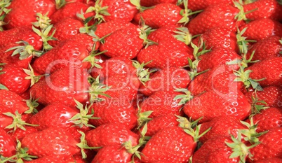 Erdbeeren