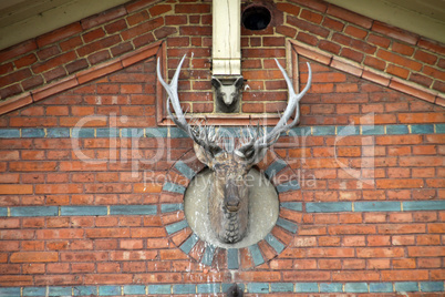 Hirschkopf an der Fassade des Stadtarchis Schwerin