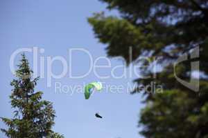Green paraglider between trees