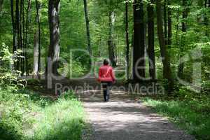 Spaziergang im Wald