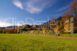 Herbst an einer Landstraße