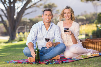 Portrait of smiling couple sitting on picnic blanket and drinkin