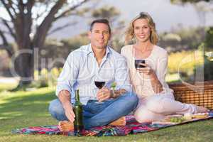 Portrait of smiling couple sitting on picnic blanket and drinkin