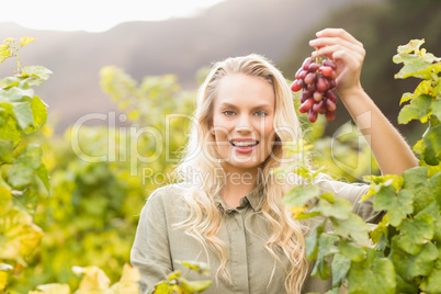 Smiling blonde winegrower holding a red grape