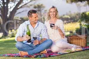 Portrait of smiling couple sitting on picnic blanket and drinkin