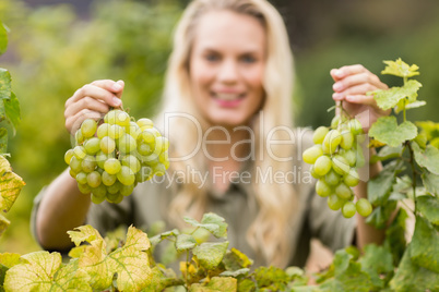 Smiling blonde winegrower holding grapes