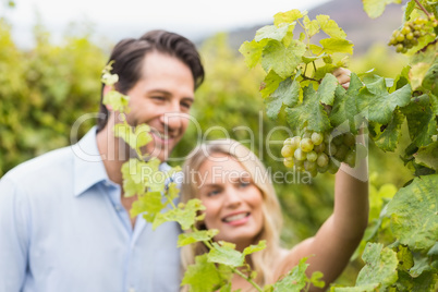 Young happy couple looking at grapes