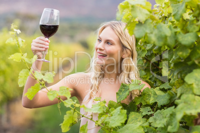 Young happy woman holding a glass of wine