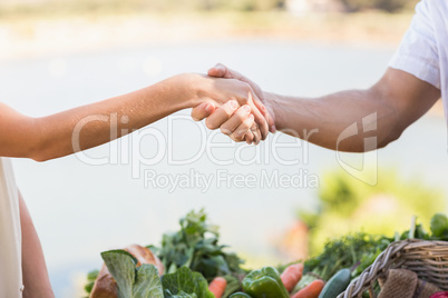 Farmer and customer shaking hands