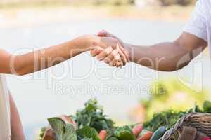Farmer and customer shaking hands