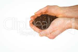 Close up view of hands showing coffee beans