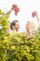 Smiling winegrowers couple holding red grapes