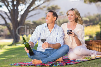 Smiling couple drinking wine and enjoying the view