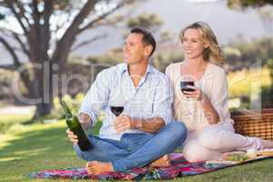 Smiling couple drinking wine and enjoying the view