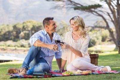 Smiling couple drinking wine and toasting