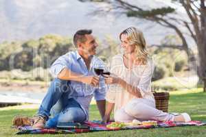 Smiling couple drinking wine and toasting