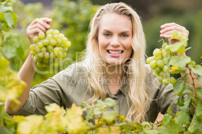 Smiling blonde winegrower holding grapes