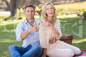 Portrait of smiling couple drinking wine and toasting