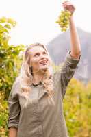 Smiling blonde winegrower holding a grape