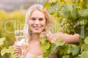 Young happy woman holding a glass of wine and looking at grapes