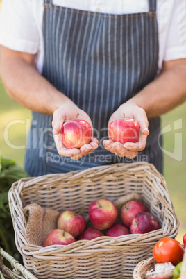 Farmer hands showing two red apples