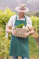 Young happy farmer holding a basket of vegetables