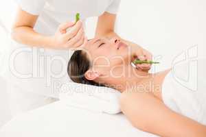 Attractive woman receiving aloe vera massage