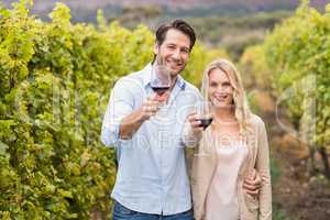 Young happy couple holding a glass of wine and looking at camera