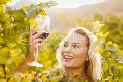 Young happy woman holding a glass of wine