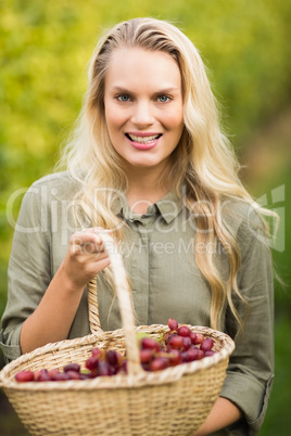 Blonde winegrower holding a red grape basket