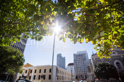 Sun shining over a city