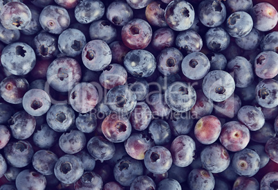 Background with Blueberries