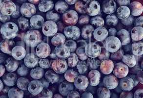 Background with Blueberries